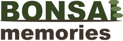 Bonsai Memories